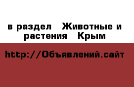  в раздел : Животные и растения . Крым